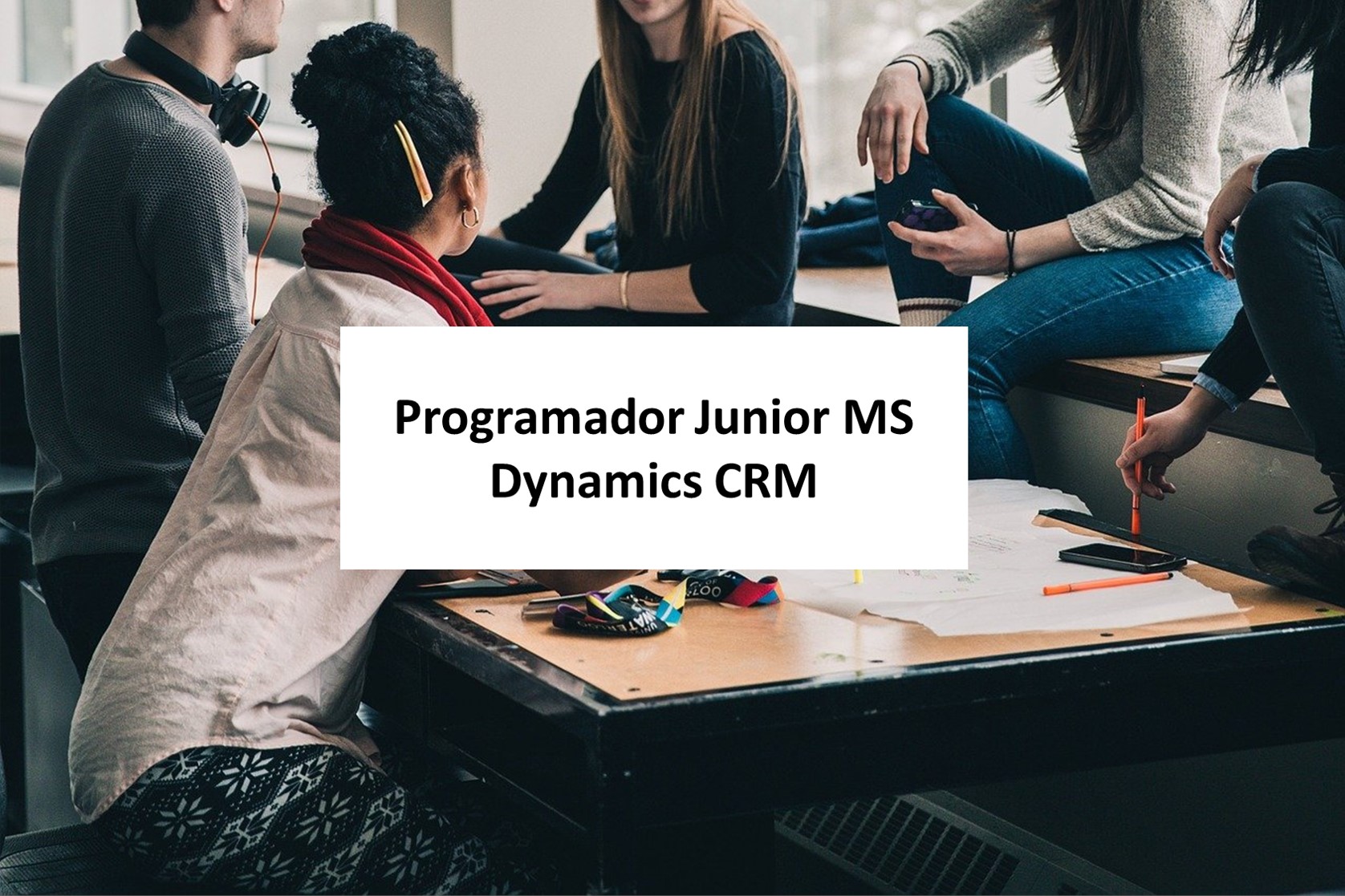 Programador/a MS Dynamics CRM Junior
